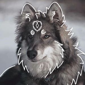 Meet your Posher, Honistee